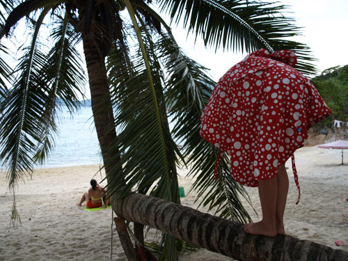 Paddestoel Perhentian Islands