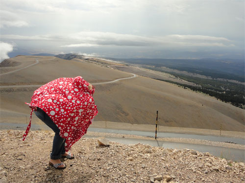 Paddestoel Mont Ventoux